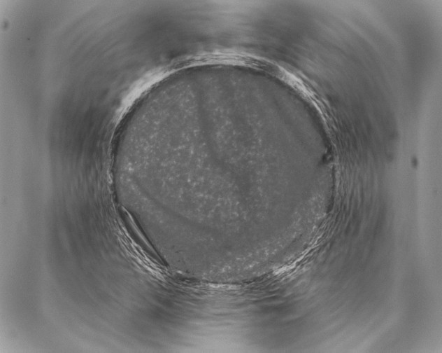 X0000087021312200705071500