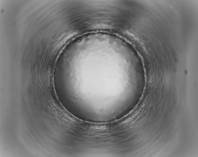 X0000087021313200705071500