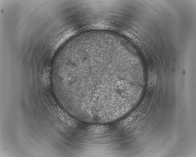 X0000087021314200705071500