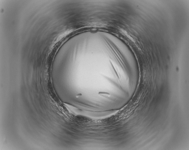 X0000087021315200705071500