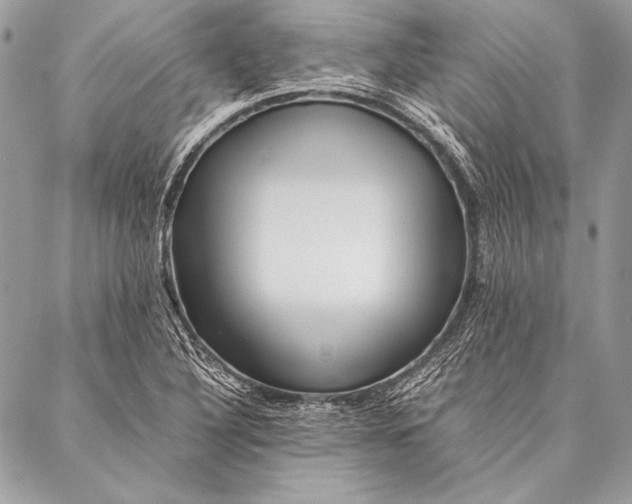 X0000087021316200705071500