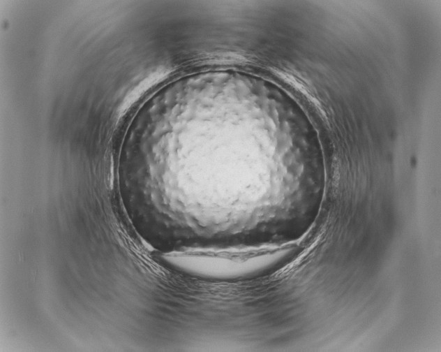 X0000087021317200705071500