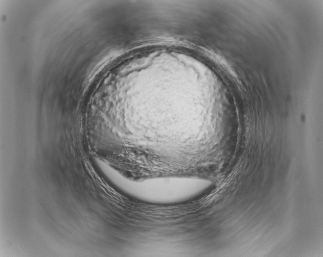 X0000087021318200705071500