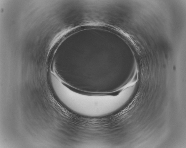 X0000087021319200705071500