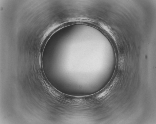 X0000087021320200705071500