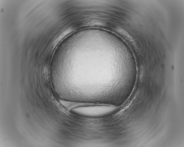 X0000087021321200705071500