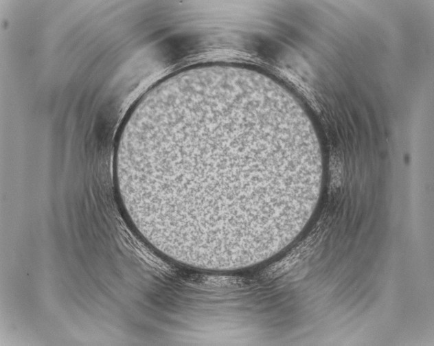 X0000087021322200705071500