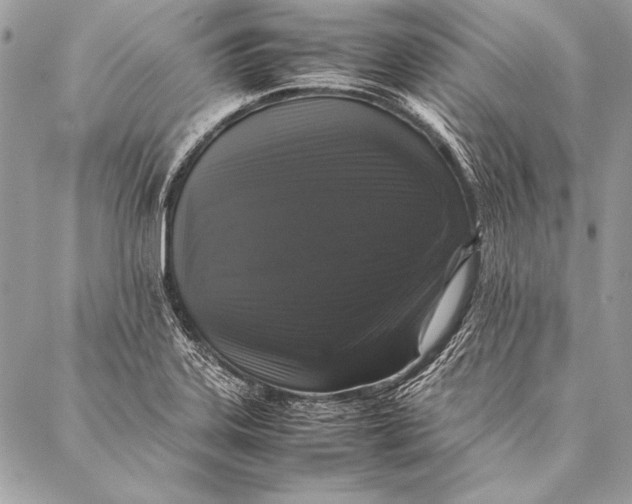 X0000087021323200705071500