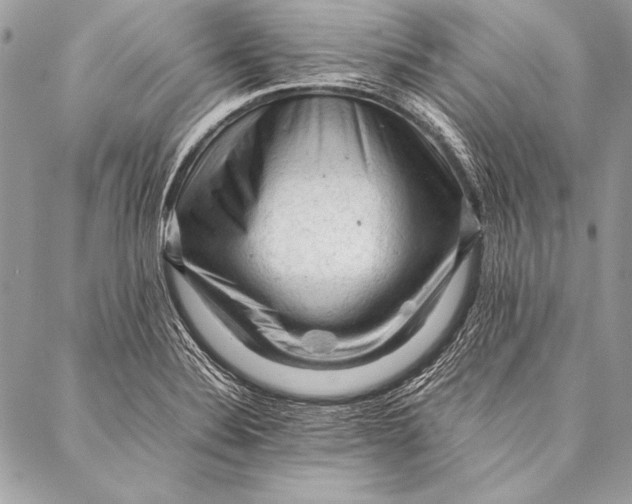 X0000087021324200705071500