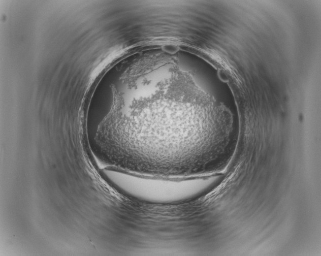 X0000087021325200705071500