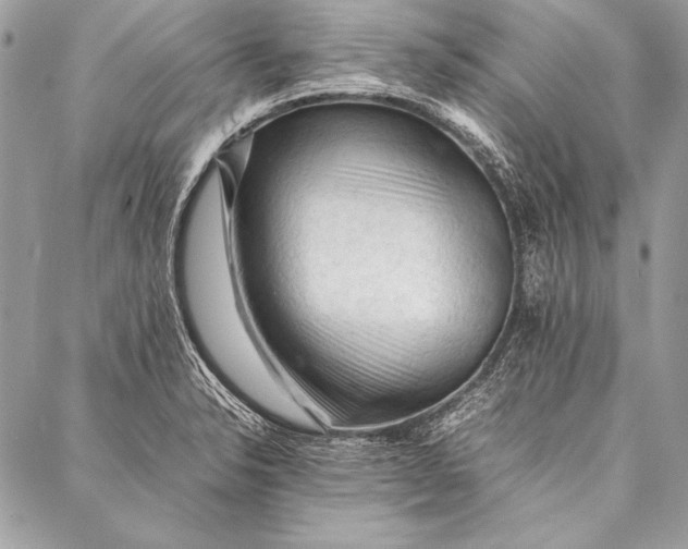 X0000087021326200705071500