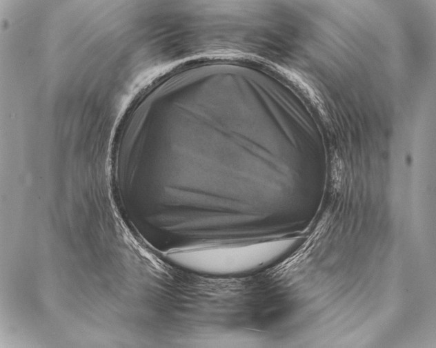 X0000087021327200705071500