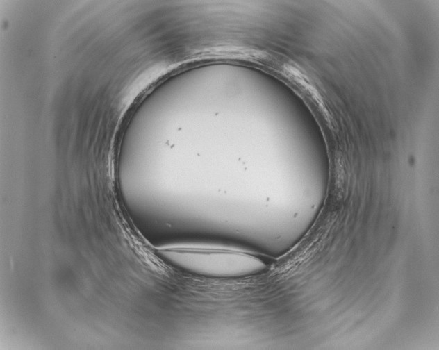 X0000087021328200705071500