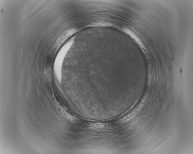 X0000087021329200705071500