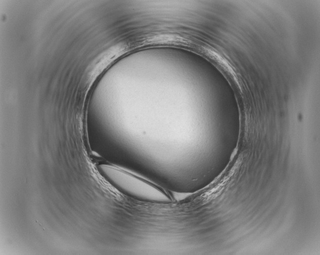 X0000087021330200705071500