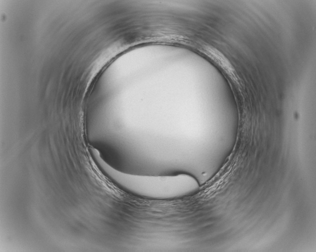 X0000087021332200705071500