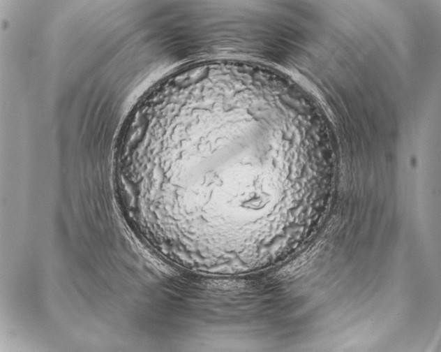 X0000087021333200705071500