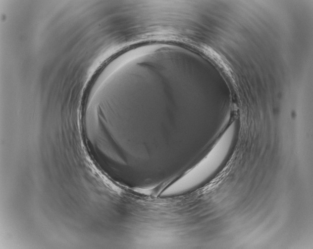 X0000087021334200705071500