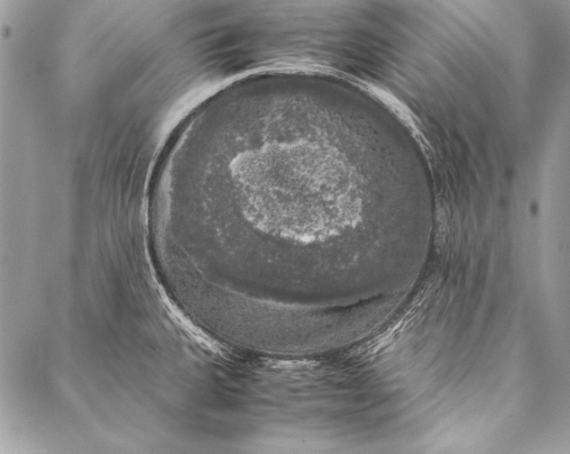 X0000087021335200705071500