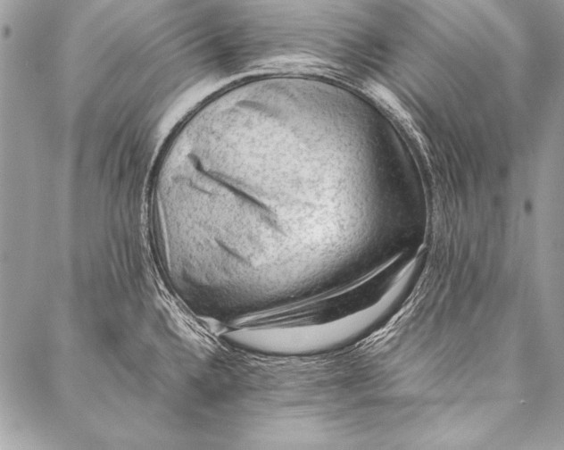 X0000087021336200705071500