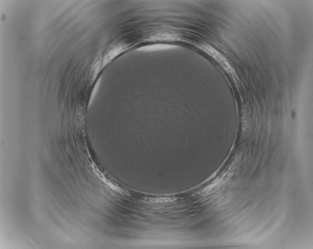 X0000087021337200705071500