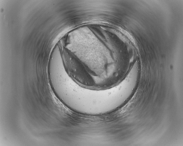 X0000087021338200705071500