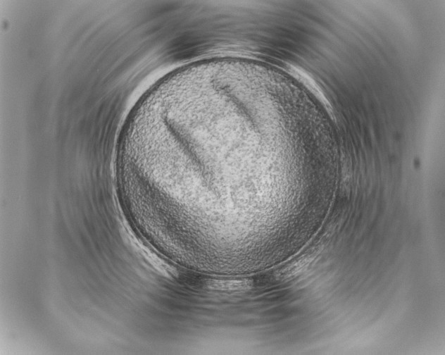 X0000087021339200705071500