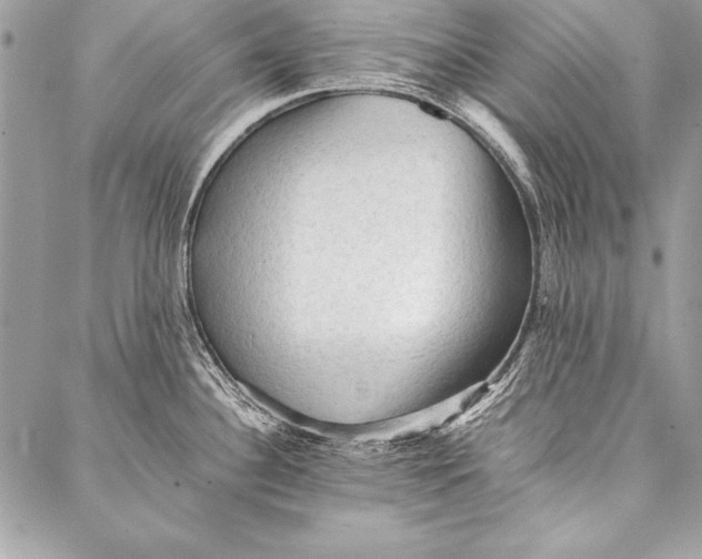 X0000087021340200705071500