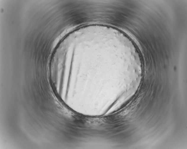 X0000087021341200705071500