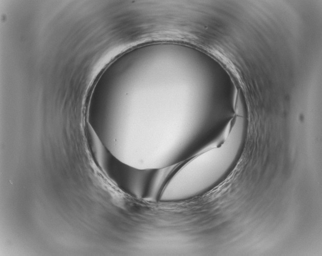 X0000087021342200705071500