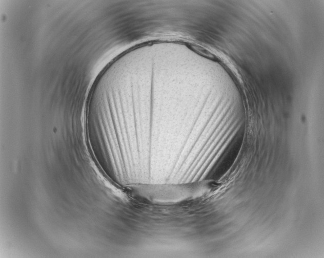 X0000087021343200705071500