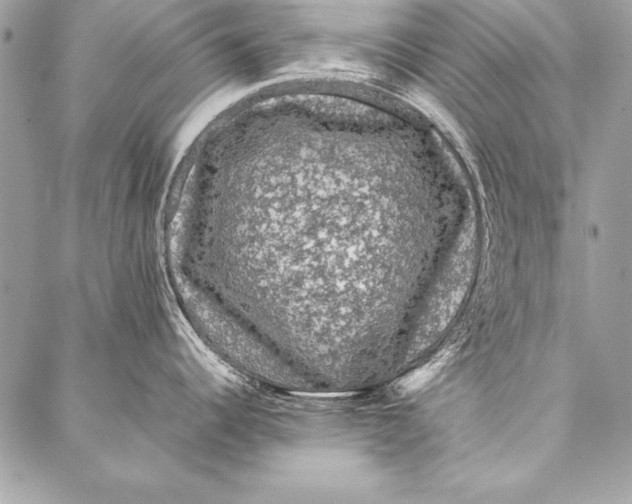 X0000087021344200705071500