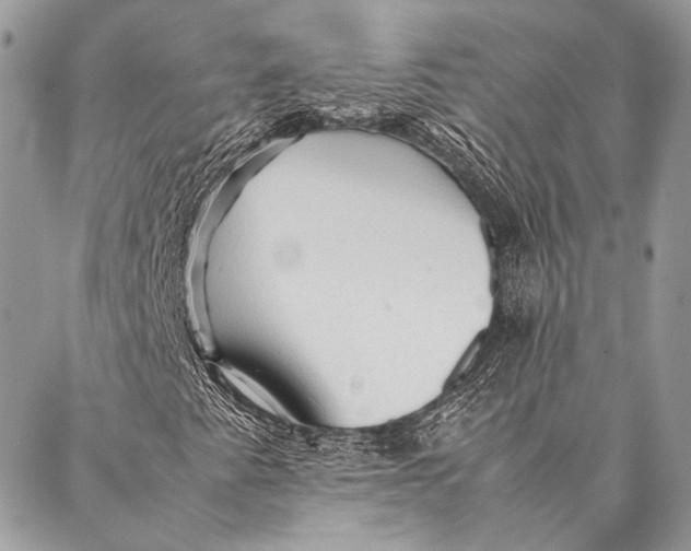 X0000087021345200705071459