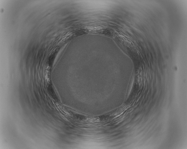 X0000087021346200705071459