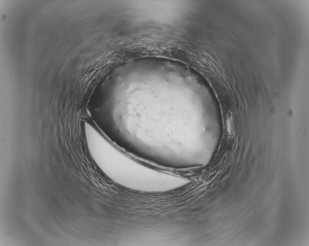 X0000087021347200705071459