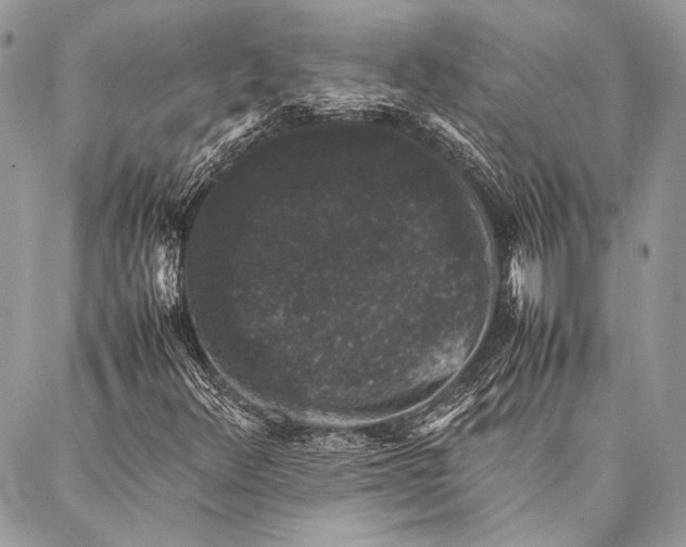 X0000087021348200705071459