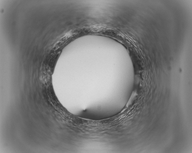 X0000087021349200705071459