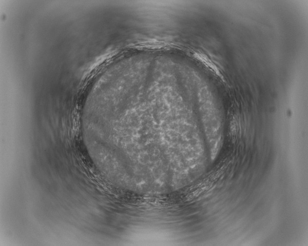 X0000087021350200705071459