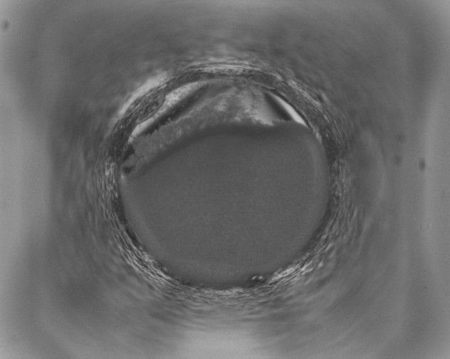 X0000087021351200705071459