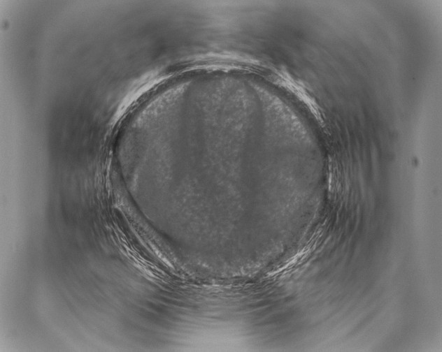 X0000087021352200705071459