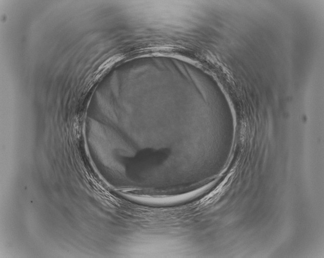 X0000087021353200705071459