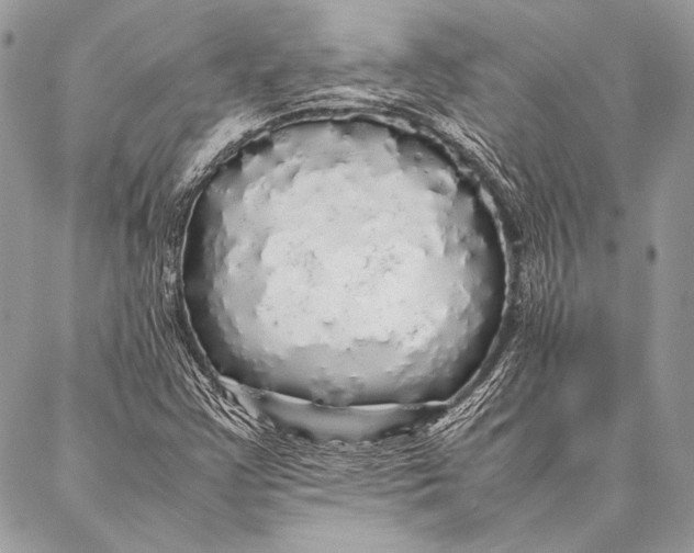 X0000087021355200705071459