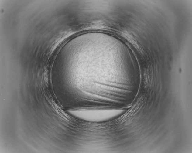 X0000087021356200705071459