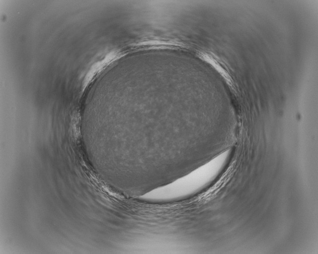 X0000087021357200705071459