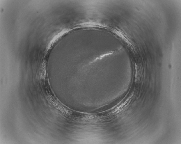 X0000087021358200705071459