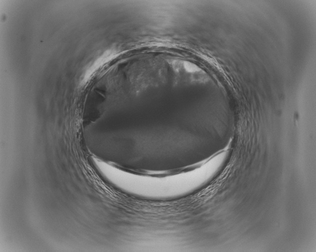 X0000087021359200705071459