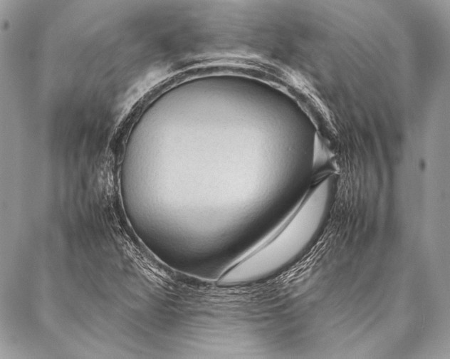 X0000087021360200705071459