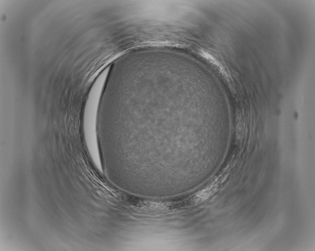 X0000087021361200705071459