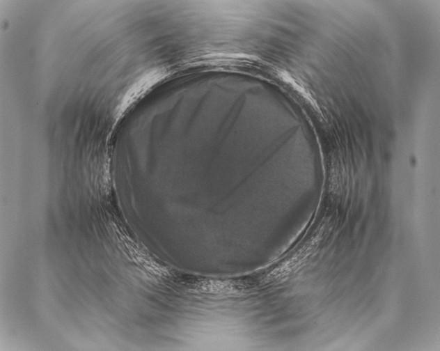 X0000087021362200705071459