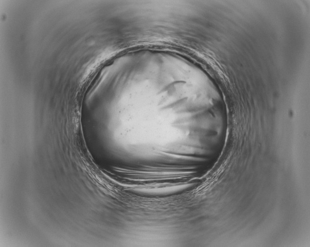 X0000087021363200705071459